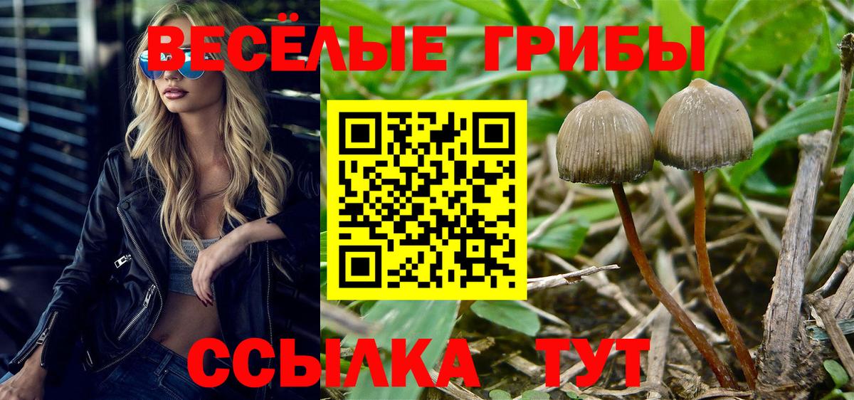 Галлюциногенные грибы Magic Shrooms Асино