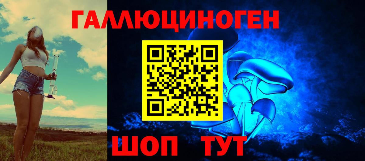 Асино  Псилоцибиновые грибы Psilocybe  Вход с VPN 